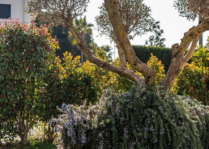 Amma Pool & Jacuzzi By Pikhost *