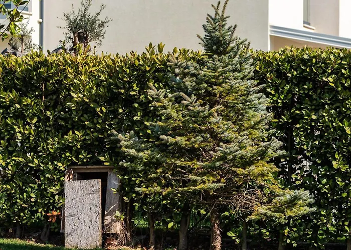 Daire Amma Pool & Jacuzzi By Pikhost